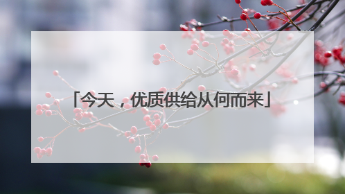 今天，优质供给从何而来