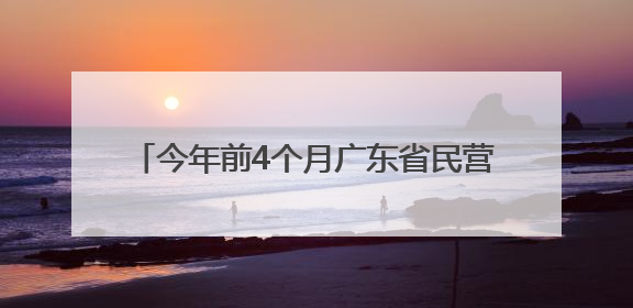 今年前4个月广东省民营企业进出口增长5.6%