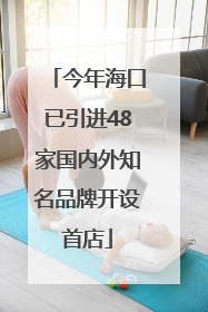 今年海口已引进48家国内外知名品牌开设首店