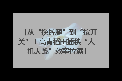 从“挽裤腿”到“按开关”！高青稻田插秧“人机大战”效率拉满