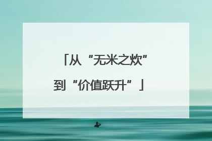 从“无米之炊”到“价值跃升”
