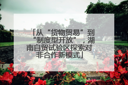 从“货物贸易”到“制度型开放”，湖南自贸试验区探索对非合作新模式