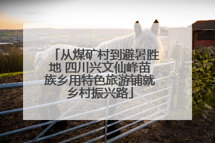 从煤矿村到避暑胜地 四川兴文仙峰苗族乡用特色旅游铺就乡村振兴路