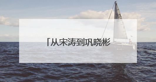 从宋涛到巩晓彬，从张子宇到杨瀚森，篮球逐梦山东“高人”不停歇