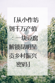 从小作坊到千万产值：一块豆腐解锁昆明呈贡乡村振兴密码