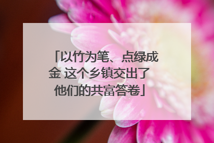 以竹为笔、点绿成金 这个乡镇交出了他们的共富答卷