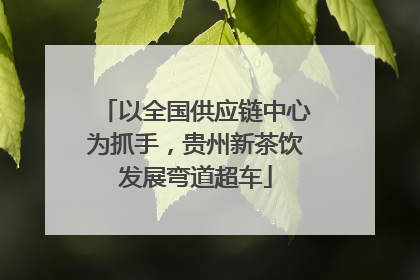以全国供应链中心为抓手，贵州新茶饮发展弯道超车