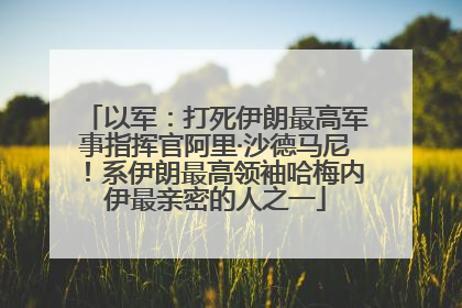 以军：打死伊朗最高军事指挥官阿里·沙德马尼！系伊朗最高领袖哈梅内伊最亲密的人之一