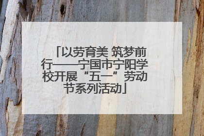 以劳育美 筑梦前行——宁国市宁阳学校开展“五一”劳动节系列活动