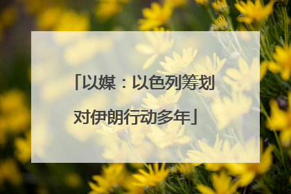 以媒：以色列筹划对伊朗行动多年
