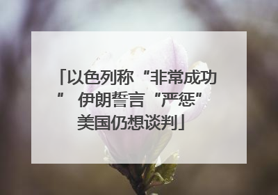 以色列称“非常成功” 伊朗誓言“严惩” 美国仍想谈判