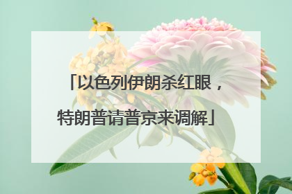 以色列伊朗杀红眼，特朗普请普京来调解