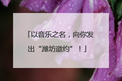 以音乐之名，向你发出“潍坊邀约”！