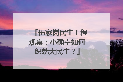 伍家岗民生工程观察：小确幸如何织就大民生？