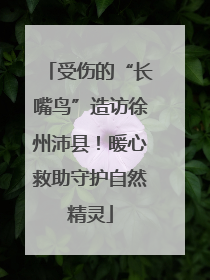 受伤的“长嘴鸟”造访徐州沛县！暖心救助守护自然精灵