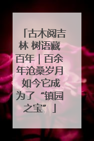 古木阅吉林 树语藏百年｜百余年沧桑岁月 如今它成为了“镇园之宝”