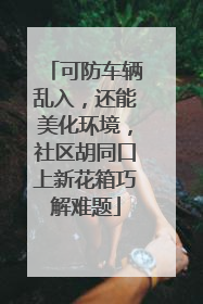 可防车辆乱入，还能美化环境，社区胡同口上新花箱巧解难题