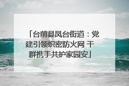 台前县凤台街道：党建引领织密防火网 干群携手共护家园安