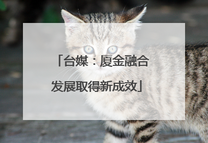 台媒：厦金融合发展取得新成效