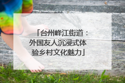 台州峰江街道：外国友人沉浸式体验乡村文化魅力