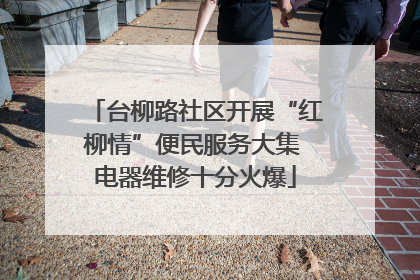 台柳路社区开展“红柳情”便民服务大集 电器维修十分火爆