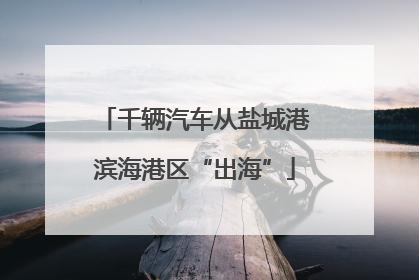 千辆汽车从盐城港滨海港区“出海”