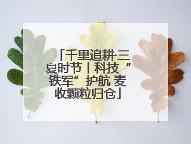 千里追耕·三夏时节丨科技“铁军”护航 麦收颗粒归仓