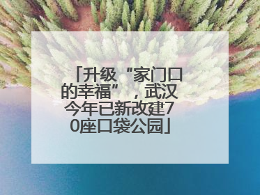 升级“家门口的幸福”，武汉今年已新改建70座口袋公园