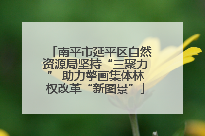 南平市延平区自然资源局坚持“三聚力” 助力擎画集体林权改革“新图景”