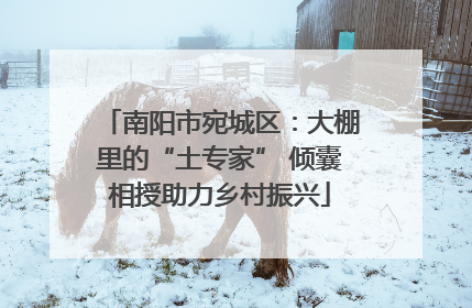 南阳市宛城区：大棚里的“土专家” 倾囊相授助力乡村振兴