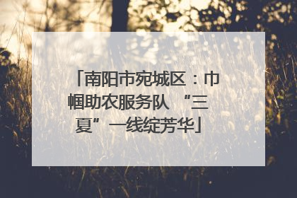 南阳市宛城区：巾帼助农服务队 “三夏”一线绽芳华