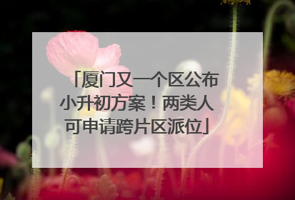 厦门又一个区公布小升初方案！两类人可申请跨片区派位