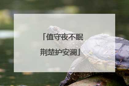 值守夜不眠 荆楚护安澜