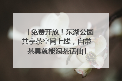 免费开放！东湖公园共享茶空间上线，自带茶具就能泡茶话仙