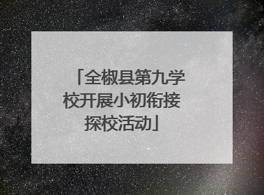 全椒县第九学校开展小初衔接探校活动