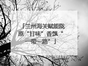 兰州海关赋能陇原“甘味”香飘“一带一路”