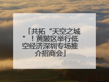 共拓“天空之城”！黄陂区举行低空经济深圳专场推介招商会