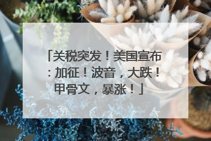 关税突发！美国宣布：加征！波音，大跌！甲骨文，暴涨！