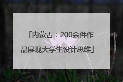 内蒙古：200余件作品展现大学生设计思维