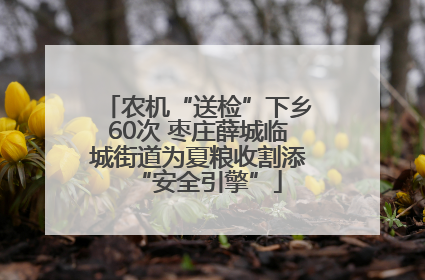 农机“送检”下乡60次 枣庄薛城临城街道为夏粮收割添“安全引擎”