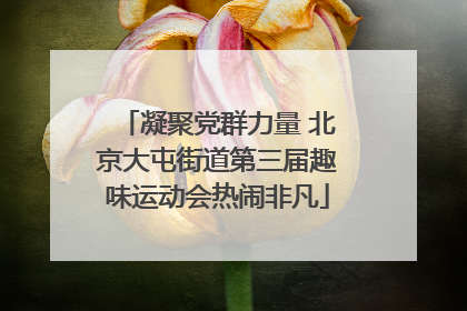 凝聚党群力量 北京大屯街道第三届趣味运动会热闹非凡