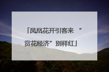凤凰花开引客来 “赏花经济”别样红