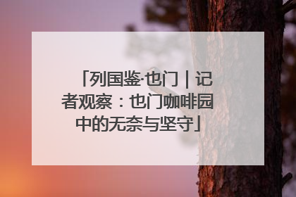 列国鉴·也门｜记者观察：也门咖啡园中的无奈与坚守