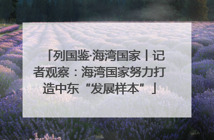 列国鉴·海湾国家丨记者观察：海湾国家努力打造中东“发展样本”