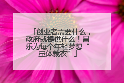 创业者需要什么，政府就提供什么！昌乐为每个年轻梦想“量体裁衣”
