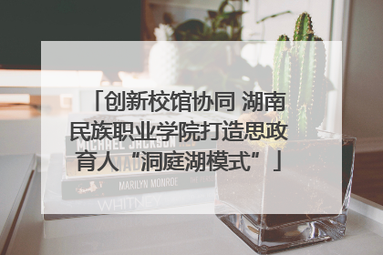 创新校馆协同 湖南民族职业学院打造思政育人“洞庭湖模式”