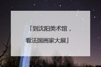 到沈阳美术馆，看法国画家大展