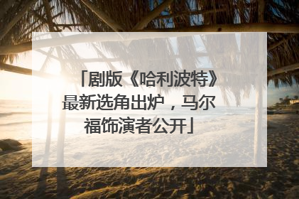剧版《哈利波特》最新选角出炉，马尔福饰演者公开