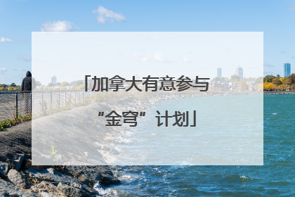 加拿大有意参与“金穹”计划