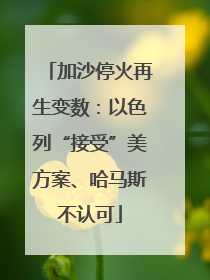 加沙停火再生变数：以色列“接受”美方案、哈马斯不认可